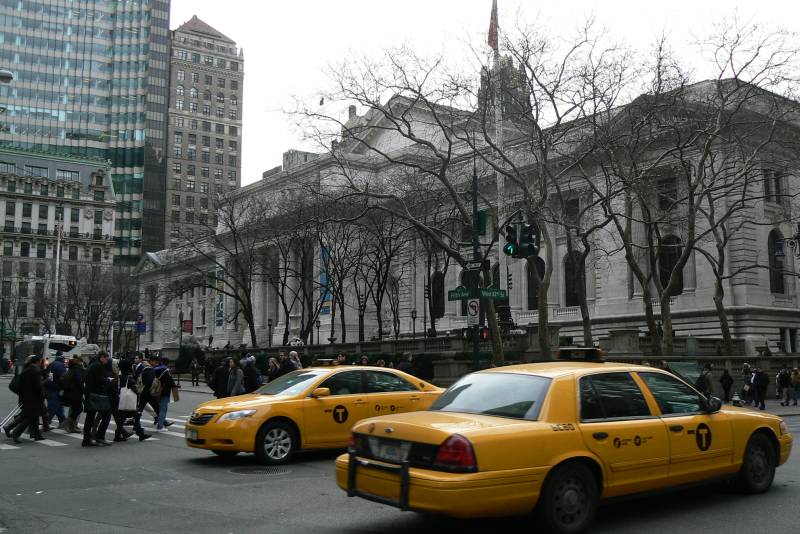 73 N.Y. Public Library